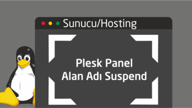 Plesk Panel Alan Adı Suspend (SSH)